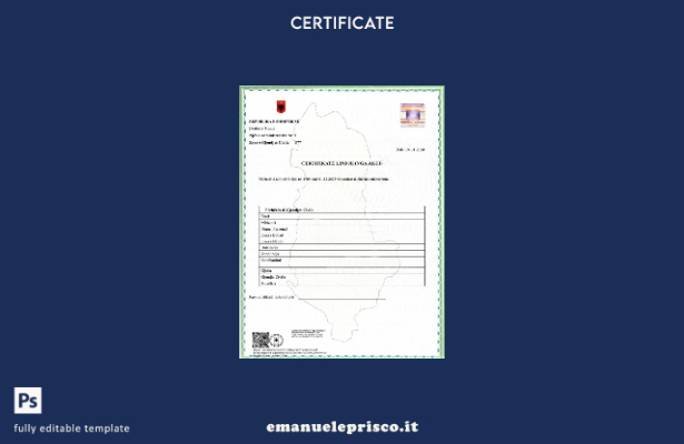 stile verificato Modello di certificato di nascita della divisione amministrativ